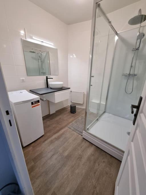 Appartement Jungle- Hypercentre -Charleville Εξωτερικό φωτογραφία